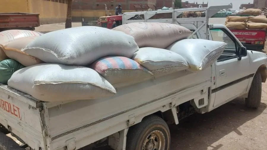 ضبط 6 أطنان من القمح الفاسد وتسجيل 571 محضرًا خلال حملات تموينية واسعة في أسيوط. ضبط 6 أطنان من القمح الفاسد وتسجيل 571 محضرًا خلال حملات تموينية واسعة في أسيوط.