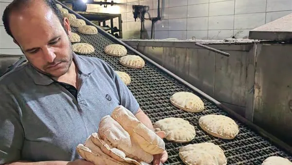 ضبط أكثر من 25 طنًا من السلع غير المطابقة للمواصفات وتسجيل 366 مخالفة تموينية في الدقهلية ضبط أكثر من 25 طنًا من السلع غير المطابقة للمواصفات وتسجيل 366 مخالفة تموينية في الدقهلية