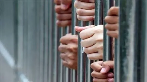ضبط تشكيل عصابي بحوزته مواد مخدرة وأسلحة تقدر بـ12 ملايين جنيه