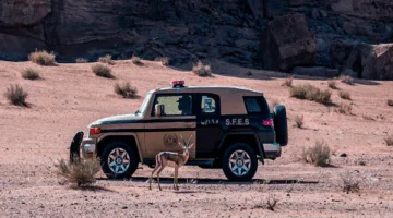 ضبط شخص قام بإشعال النار في المناطق النباتية بحائل