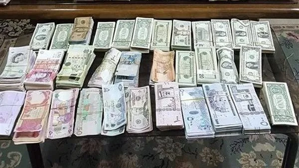 ضبط قضايا إتجار في النقد الأجنبي بـ 10 ملايين جنيه خلال 24 ساعة