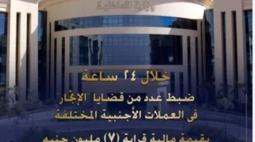 ضبط قضايا تهريب عملات أجنبية بقيمة 7 ملايين جنيه في غضون 24 ساعة