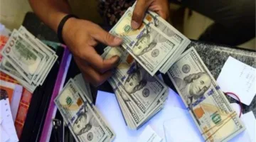 ضبط قضايا تهريب عملة أجنبية بقيمة 11 مليون جنيه خلال 24 ساعة
