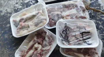 ضبط لحوم غير صالحة للاستخدام وتحرير 265 محضرًا خلال حملات رقابية في أسيوط استعدادًا لعيد الأضحى المبارك