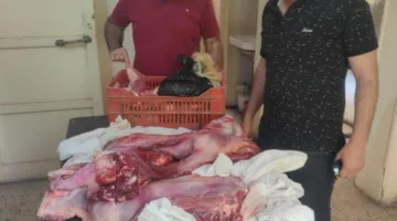 ضبط لحوم غير صالحة للاستخدام وتحريز 118 محضرًا خلال حملات تفتيشية في أسيوط