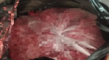 الفيوم تعزز مراقبة اللحوم قبل عيد الأضحى.. confiscation of tons of spoiled products