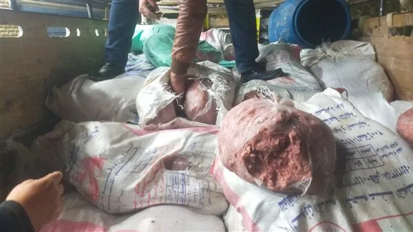 ضبط نصف طن لحوم غير صالحة للاستهلاك في حملة رقابية بطوخ