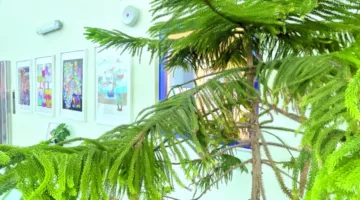 طالبات مدرسة موزة الإعدادية يتألقن في معرض فني