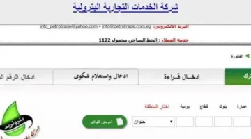 طريقة تسجيل قراءة عداد الغاز لشهر مايو 2025 عبر الإنترنت.. بهذه الخطوات