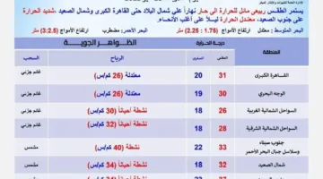 طقس ربيعي دافئ.. توقعات الأرصاد لحالة الطقس يوم الأربعاء المقبل
