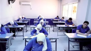 طلاب الثانوية العامة 2025.. رابط مباشر للتحقق من أرقام الجلوس عبر الإنترنت