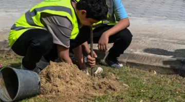 طلاب مدارس الظهران يساهمون في غرس الأشجار