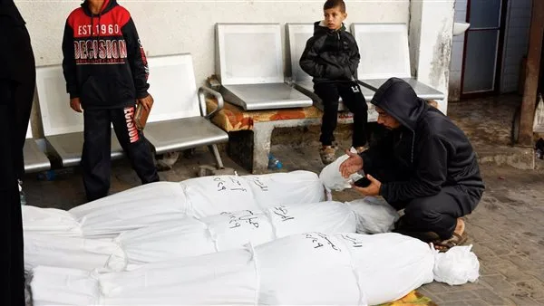 عاجل: استشهاد فلسطينيين وإصابات جراء قصف الاحتلال على غزة عاجل: استشهاد فلسطينيين وإصابات جراء قصف الاحتلال على غزة