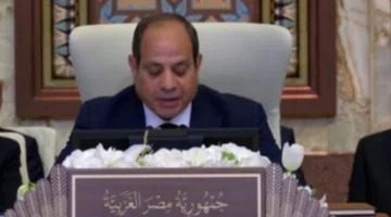 عاجل | الرئيس السيسي: الوضع في فلسطين يواجه أخطر وأدق مراحله.