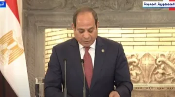 عاجل.. الرئيس السيسي: حل الدولتين هو المسار الذي سيسمح بإنهاء الصراع في الشرق الأوسط