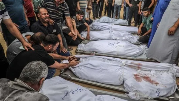عاجل.. القاهرة الإخبارية: 90 شهيدًا بسبب الهجوم الإسرائيلي على غزة اليوم (فيديو) عاجل.. القاهرة الإخبارية: 90 شهيدًا بسبب الهجوم الإسرائيلي على غزة اليوم (فيديو)