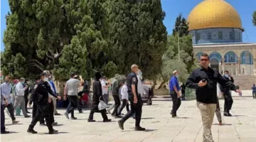 عاجل.. المتطرفون الإسرائيليون يهاجمون المسجد الأقصى بتأييد من قوات الأمن الإسرائيلية