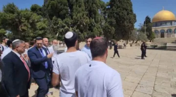 عاجل.. بن غفير يتوغل في البلدة القديمة عبر باب العامود
