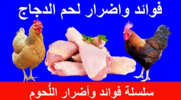 عاجل.. تأثير تناول أكثر من 300 جرام من الدجاج أسبوعيًا على صحة الإنسان