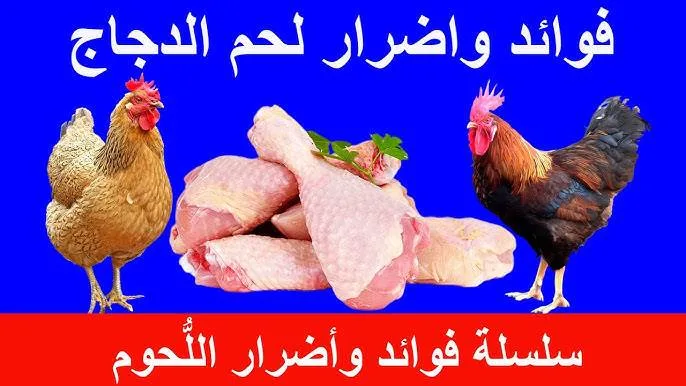 عاجل.. تأثير تناول أكثر من 300 جرام من الدجاج أسبوعيًا على صحة الإنسان عاجل.. تأثير تناول أكثر من 300 جرام من الدجاج أسبوعيًا على صحة الإنسان