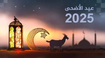 عاجل| توقيت إجازة عيد الأضحى 2025 للقطاع الخاص
