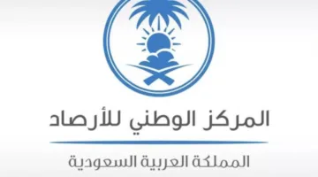 عاجل | حرارة الرياض.. “الأرصاد”: الدمام والأحساء تسجلان 48 درجة مئوية كأعلى درجات حرارة
