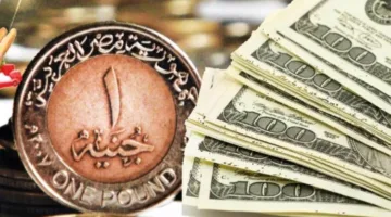عاجل | سعر الدولار مقابل الجنيه في البنوك ليوم السبت 24 مايو 2025