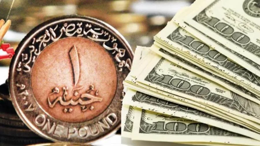 عاجل | سعر الدولار مقابل الجنيه في البنوك ليوم السبت 24 مايو 2025 عاجل | سعر الدولار مقابل الجنيه في البنوك ليوم السبت 24 مايو 2025