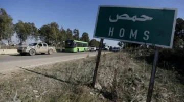 عاجل | لضمان عدم الجوع: سكان حمص في سوريا يستهلكون الخبيزة والهندباء