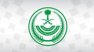 عاجل.. ما جديد قضية خاطفة الدمام؟.. وزارة الداخلية السعودية توضح