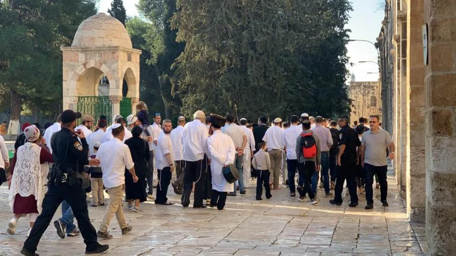 عاجل.. مستوطنون يقتحمون باحات المسجد الأقصى تحت حماية شرطة الاحتلال الإسرائيلي