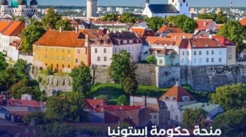عاجل.. منحة إستونيا 2025: دعم دراسي للطلاب الدوليين في برامج البكالوريوس والماجستير والدكتوراه