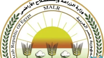 عام 2025: بدء أولى مجموعات الأطباء البيطريين لمتابعة الهدي والأضاحي خلال موسم الحج