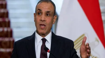 عبد العاطي: اتفاق بشأن المواضيع المطروحة في القمة العربية بالعراق