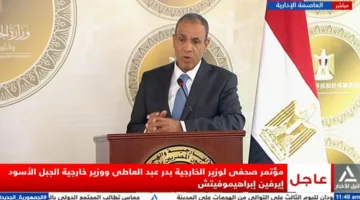 عبد العاطي: تطابق الرؤى بين مصر والجبل الأسود فيما يتعلق بتعزيز التعاون