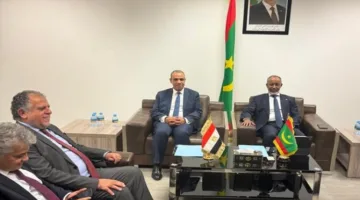 عبد العاطي يستعرض خيارات التعاون مع وزيري الصحة والتجارة والسياحة في موريتانيا