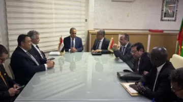 عبد العاطي يستعرض طرق تعزيز الشراكة الثنائية مع وزير الطاقة والنفط في موريتانيا