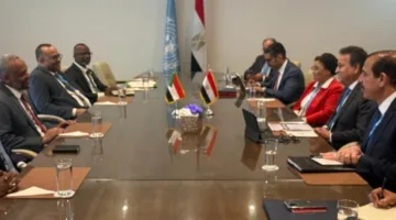 عبدالغفار يجتمع مع وزير الصحة السوداني لدراسة سبل التعاون المشترك