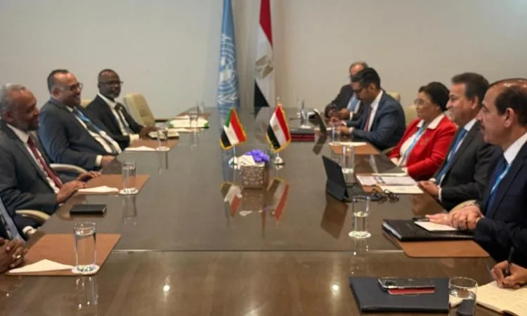 عبدالغفار يجتمع مع وزير الصحة السوداني لدراسة سبل التعاون المشترك عبدالغفار يجتمع مع وزير الصحة السوداني لدراسة سبل التعاون المشترك