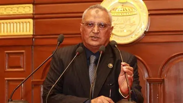 عبده أبو عايشه: مبادرات التحالف الوطني لمحو الأمية تدعم التنمية المستدامة في القرى المصرية