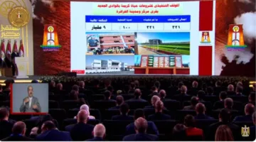 عبر الفيديو كونفرانس.. الرئيس السيسي يفتتح مركز الخدمات الحكومية الذكية في الوادي الجديد