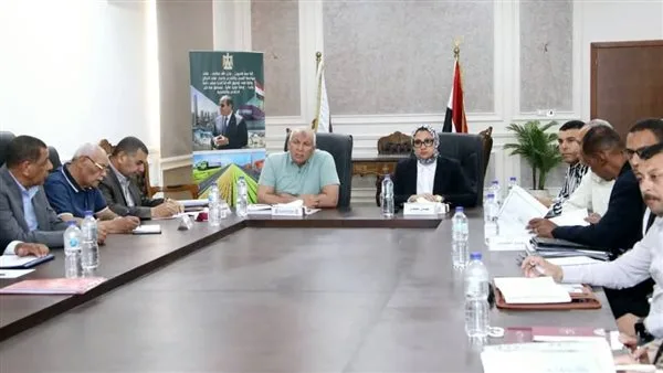 عبر الفيديو كونفرانس.. محافظ الوادي الجديد يتابع عددًا من الملفات