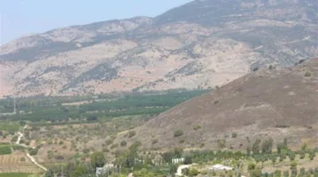 عبر ظهور البغال: تهريب كميات كبيرة من المعسل والدخان من سوريا إلى لبنان!