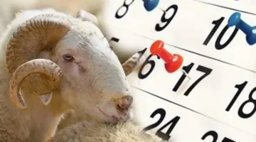 عدد أيام عطلة عيد الأضحى في تركيا: إليك المعلومات الكاملة