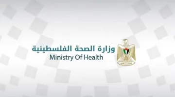 عدد الشهداء في قطاع غزة يصل إلى 53,655 شهيدًا