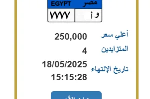 عرض لوحة سيارة فريدة بسعر 250 ألف جنيه