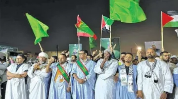 مئات الآلاف من الموريتانيين يشاركون في مسيرة احتجاجية ضد الإبادة في غزة