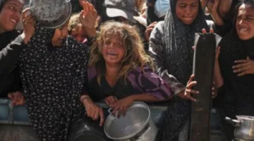 عشرات الشهداء ومفقودون تحت الركام.. حرب الإبادة الجماعية في غزة تدخل يومها الثالث والخمسين بعد التسعمئة والضحايا يتزايدون.
