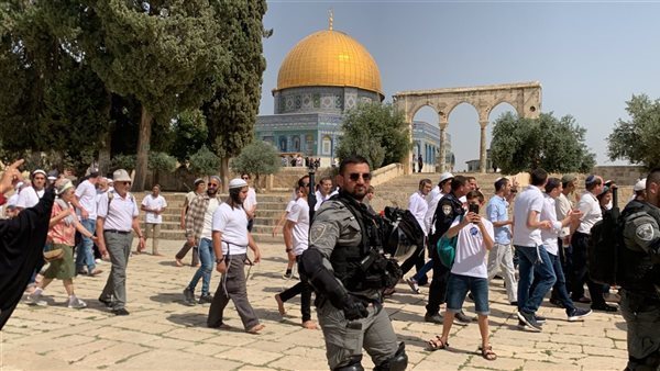 عشرات المستوطنين يقتحمون باحات “الأقصى” تحت حماية شرطة الاحتلال