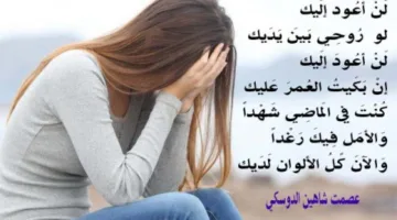 عصمت شاهين الدوسكي: لن أعود إليك مجددًا